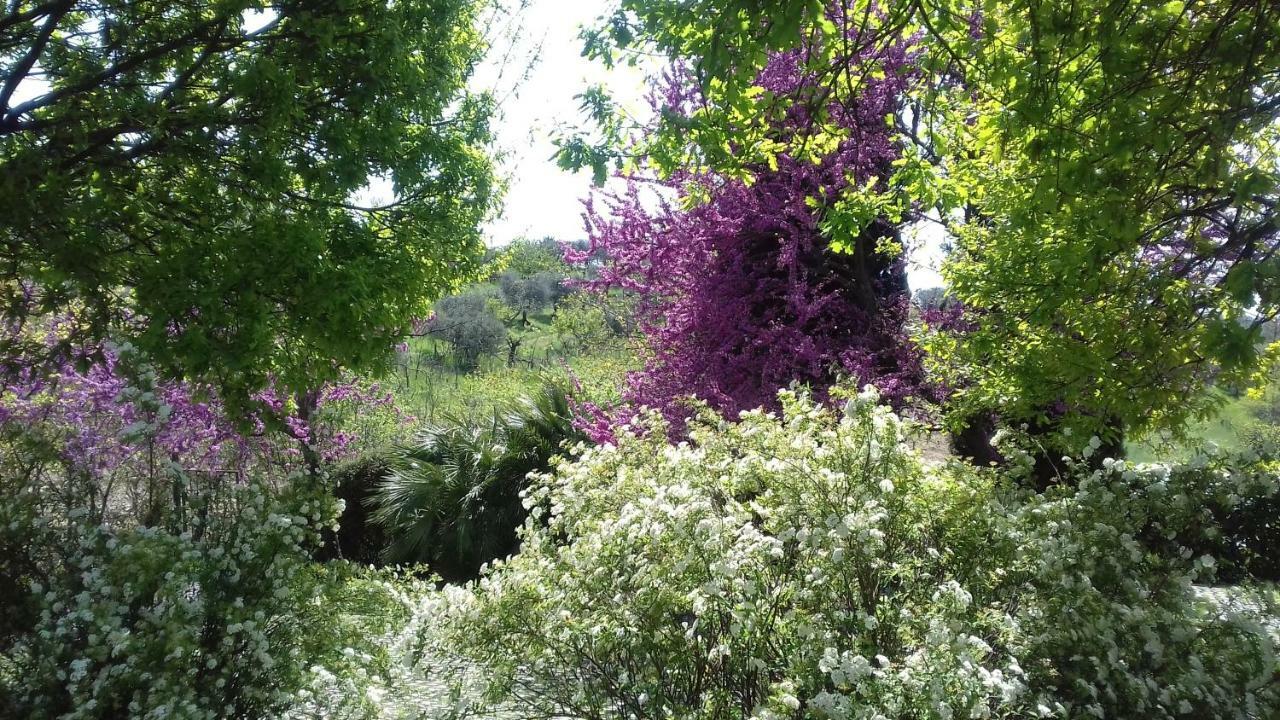 Il Parco Holiday - Locazione Turistica Fonte Nuova Buitenkant foto